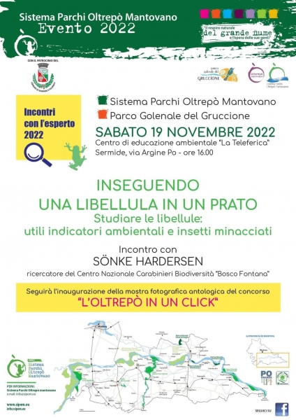 Inseguendo_una_libellula_in_un_prato